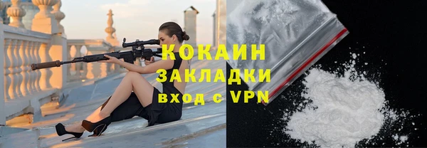 spice Алексин