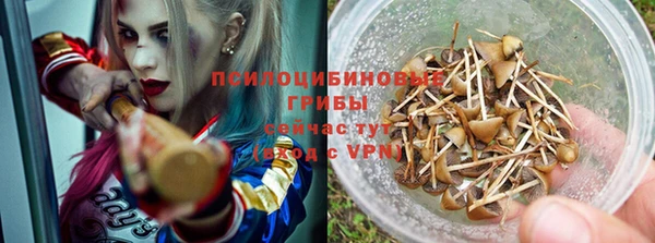 ПСИЛОЦИБИНОВЫЕ ГРИБЫ Алзамай