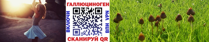 Псилоцибиновые грибы MAGIC MUSHROOMS  наркота  Печоры 